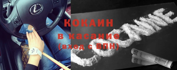 ПСИЛОЦИБИНОВЫЕ ГРИБЫ Арсеньев