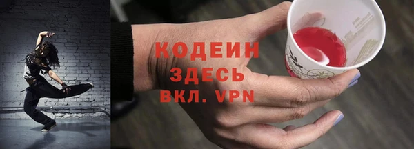 ПСИЛОЦИБИНОВЫЕ ГРИБЫ Арсеньев