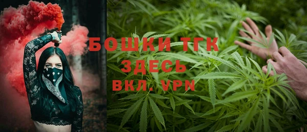 ПСИЛОЦИБИНОВЫЕ ГРИБЫ Арсеньев