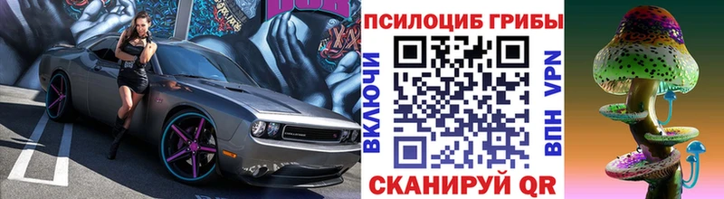 Купить  Сухой Лог  Псилоцибиновые грибы Cubensis 